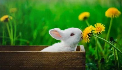 天津女排收获小组赛第五胜 朱婷短暂登场防守建功